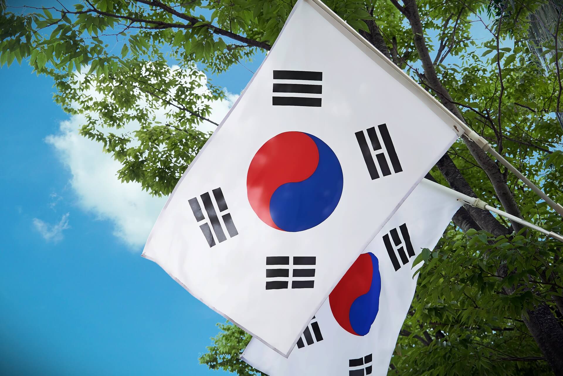 bendera korea